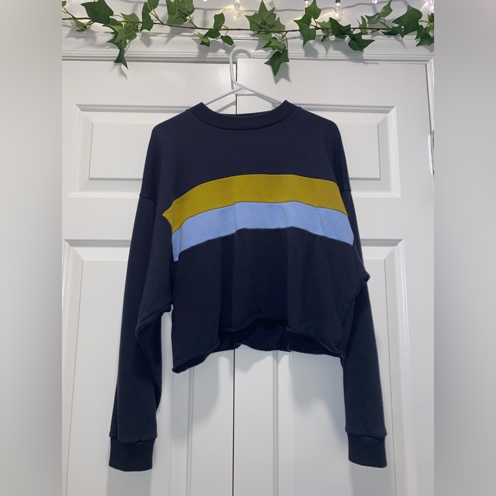 American Eagle Cropped Crewneck